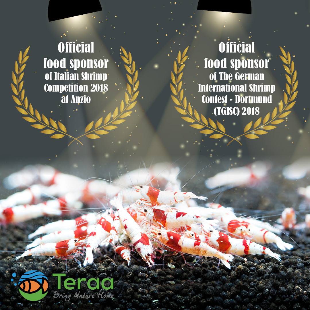 You are currently viewing Proud Sponsor of Italian Shrimp Competition & German International Shrimp Competition