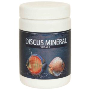 Teraa Discus Mineral Vitamix